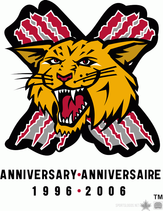moncton wildcats 2007 anniversary logo iron on transfers for T-shirts